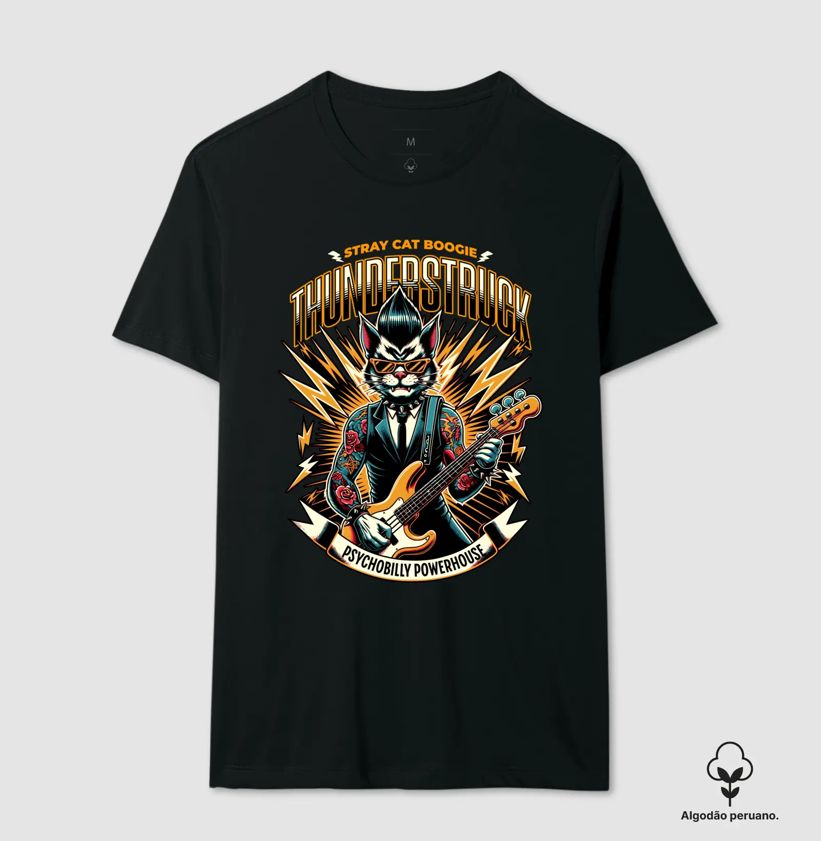 Thunderstruck Stray Cat Boogie