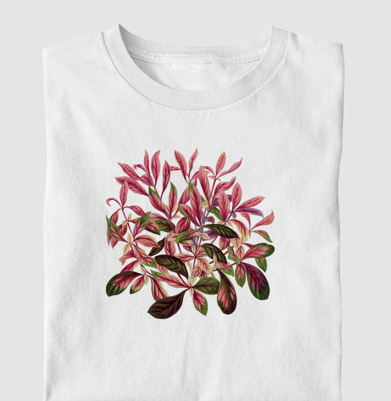 Alternanthera