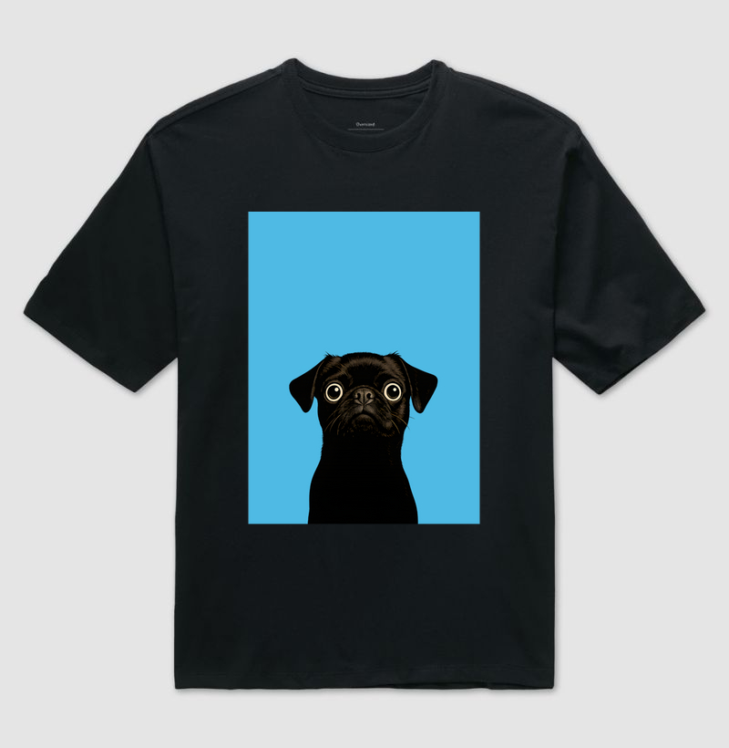 Pug em alerta