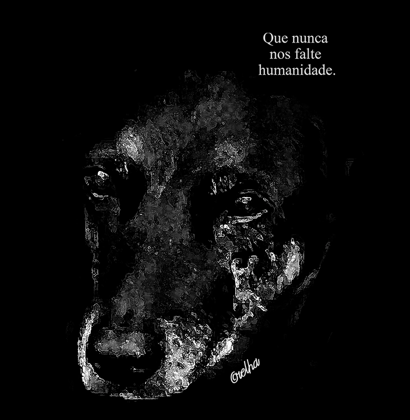 Que nunca nos falte Humanidade.