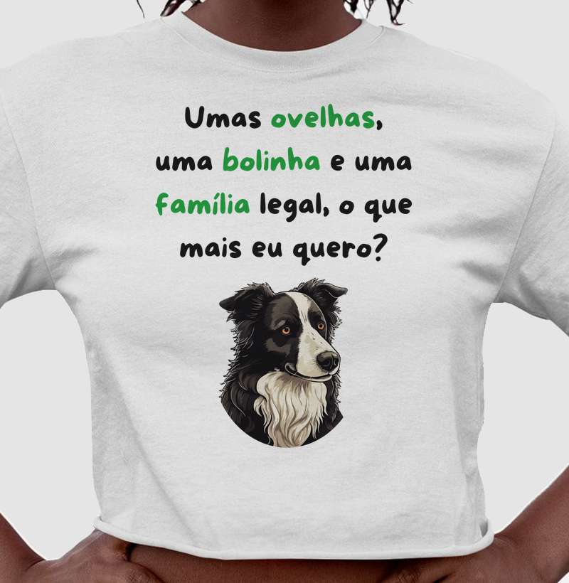 Ovelhas, bolinha e família