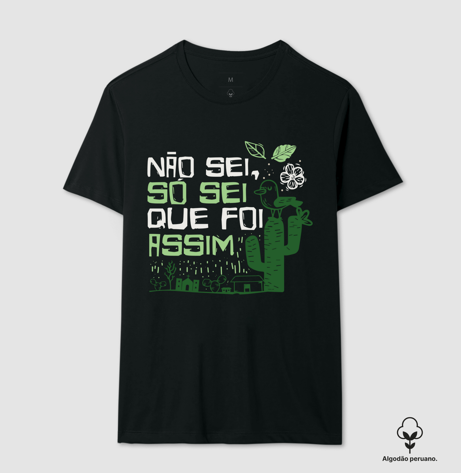 Não Sei, Só Sei Que Foi Assim – Humor Nordestino