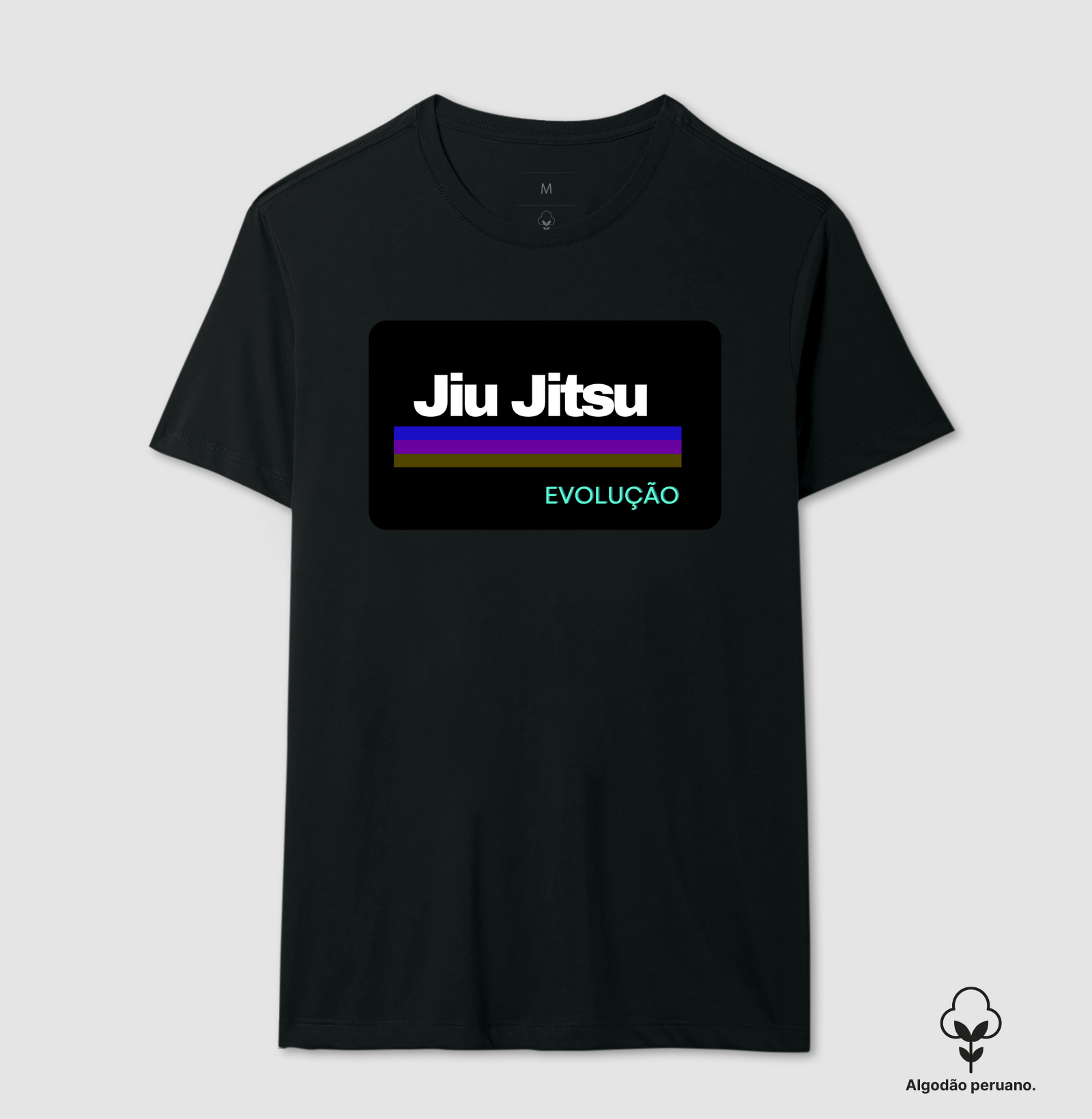 Jiu Jitsu evolução