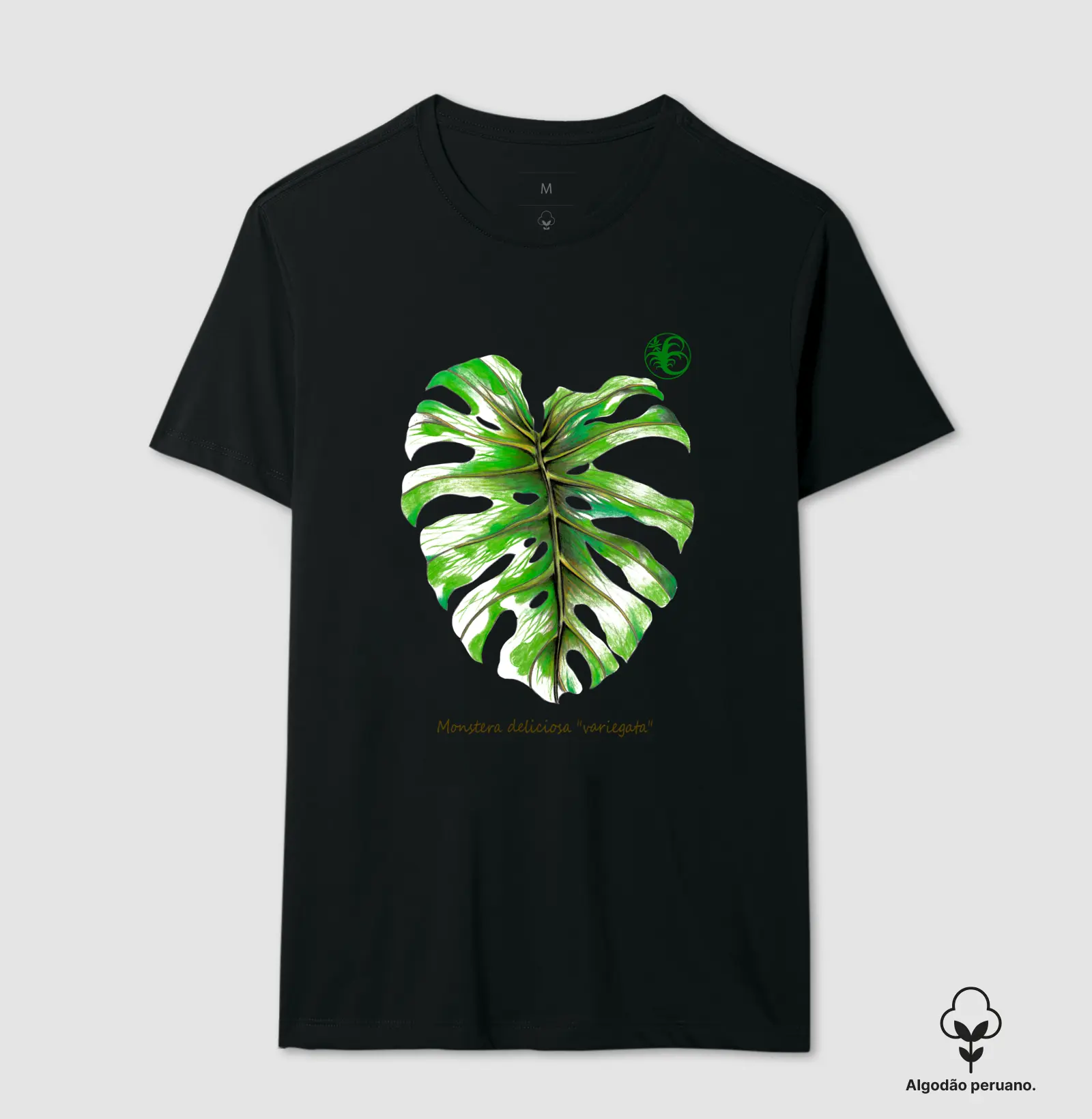 MONSTERA