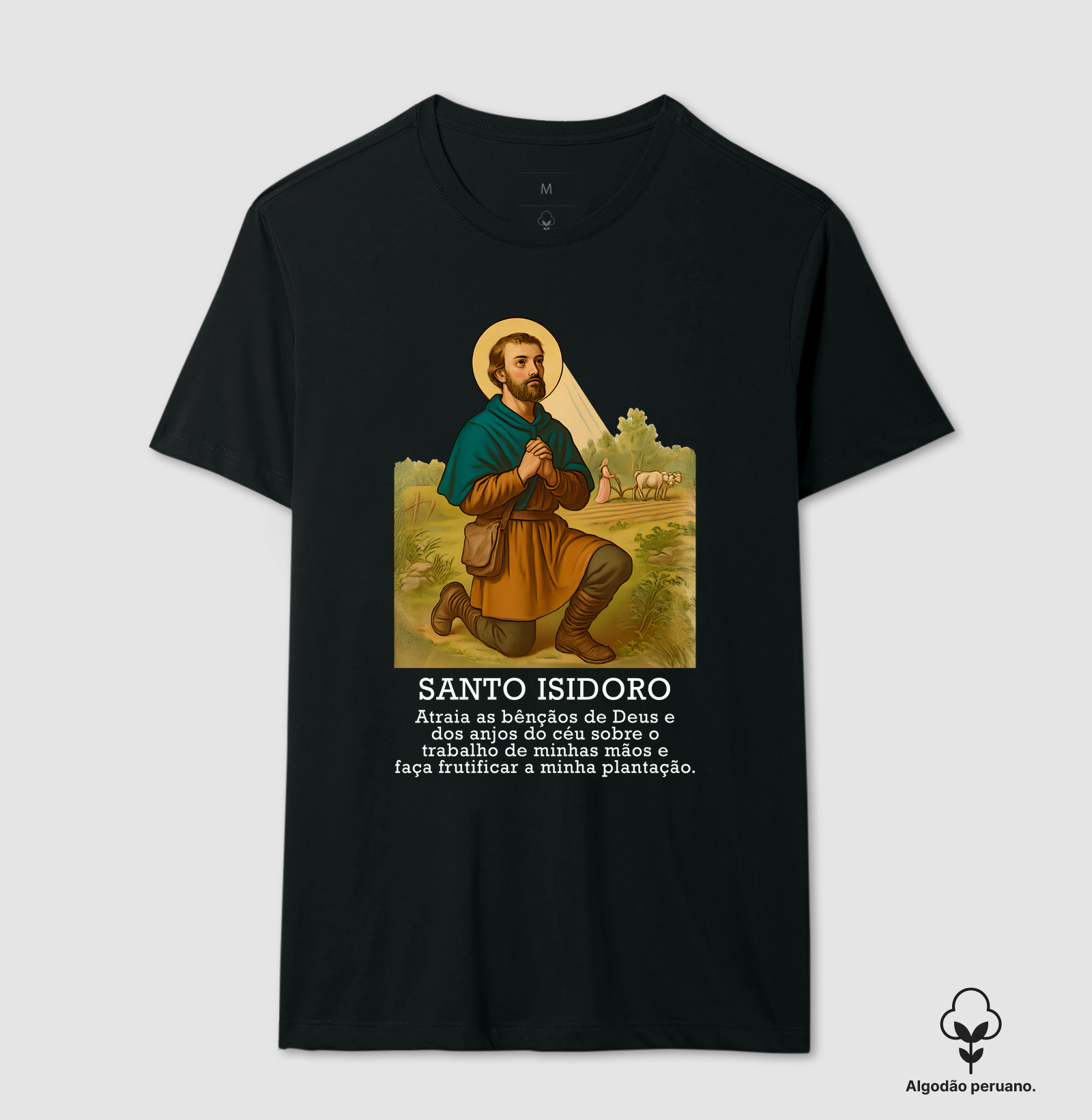 Santo Isidoro - Oração