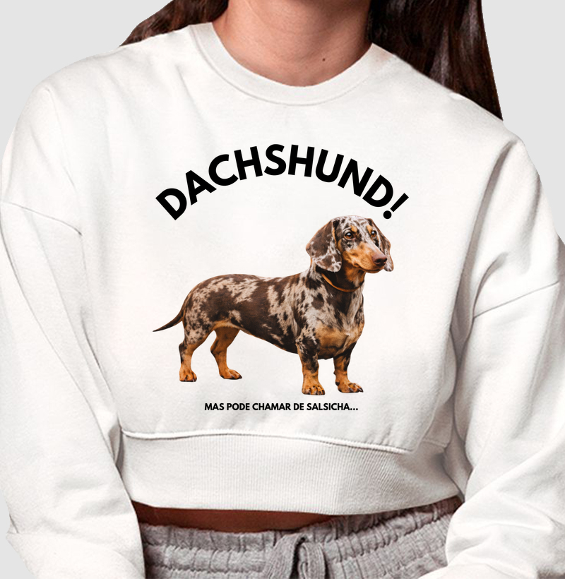 Dachshund: mas pode chamar de salsicha...