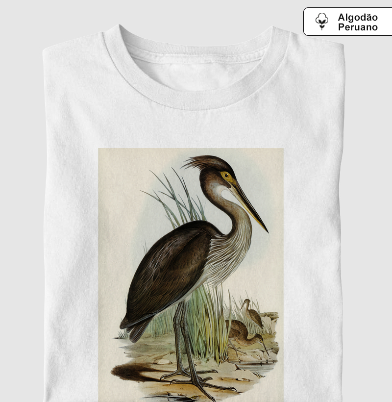 Great-billed Heron