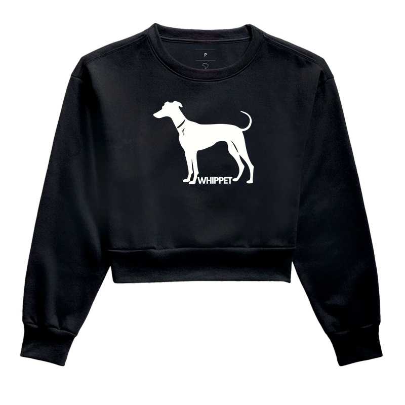 Whippet