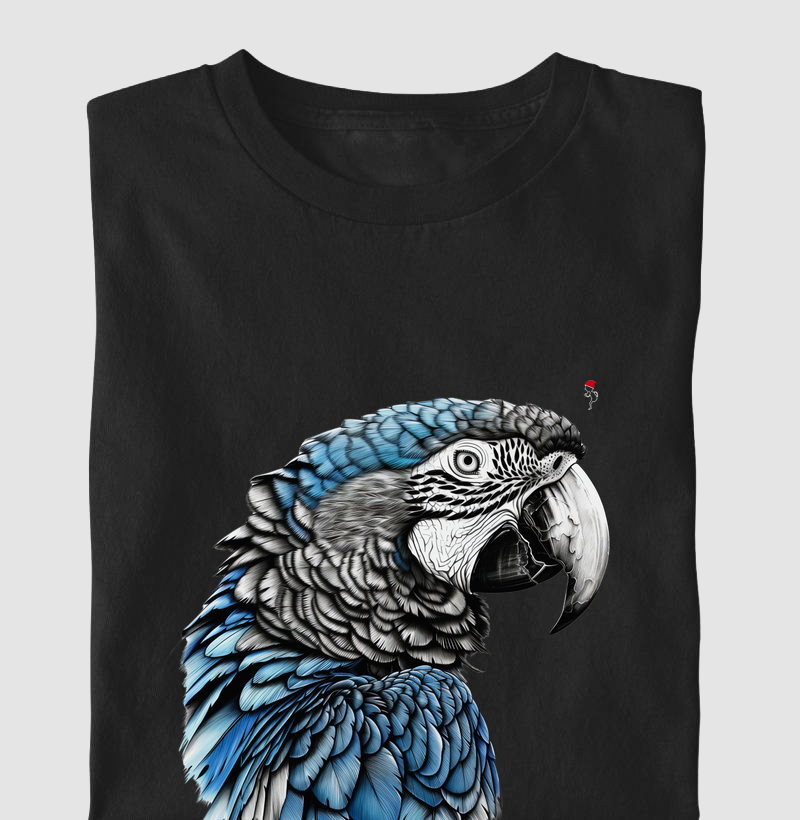 Arara Azul 