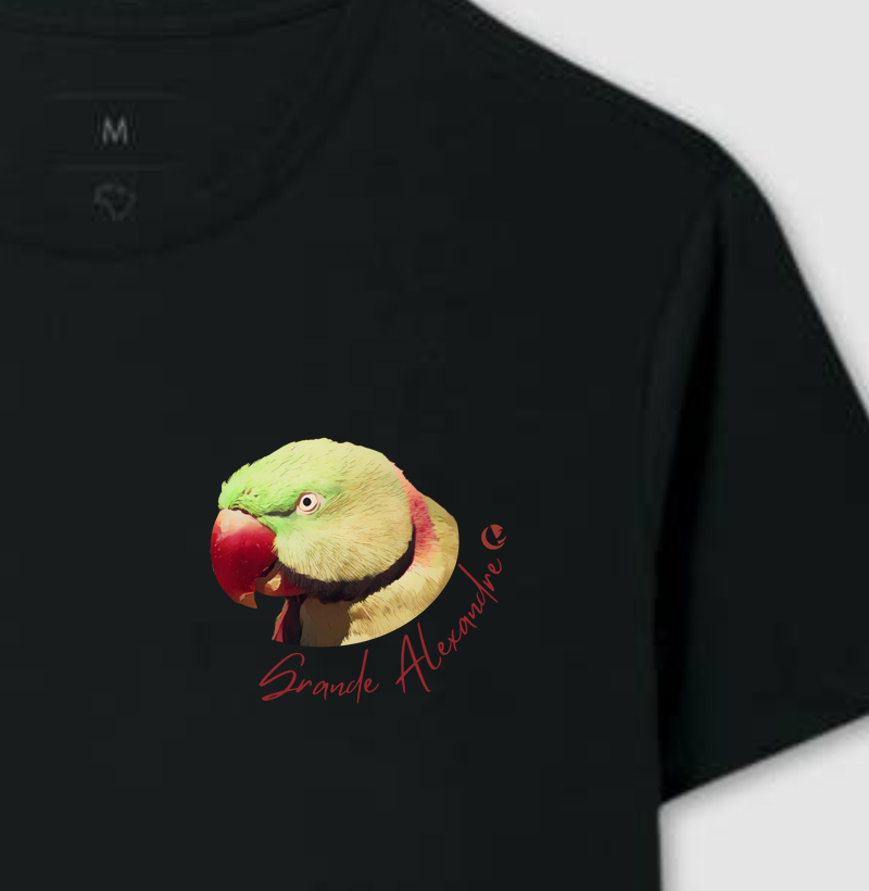 Camiseta - Grande Alexandre