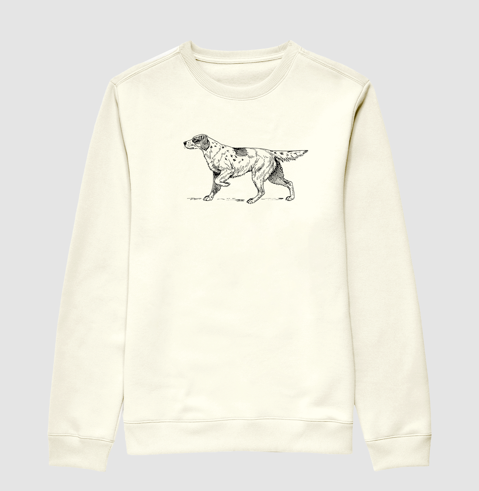 Setter dog
