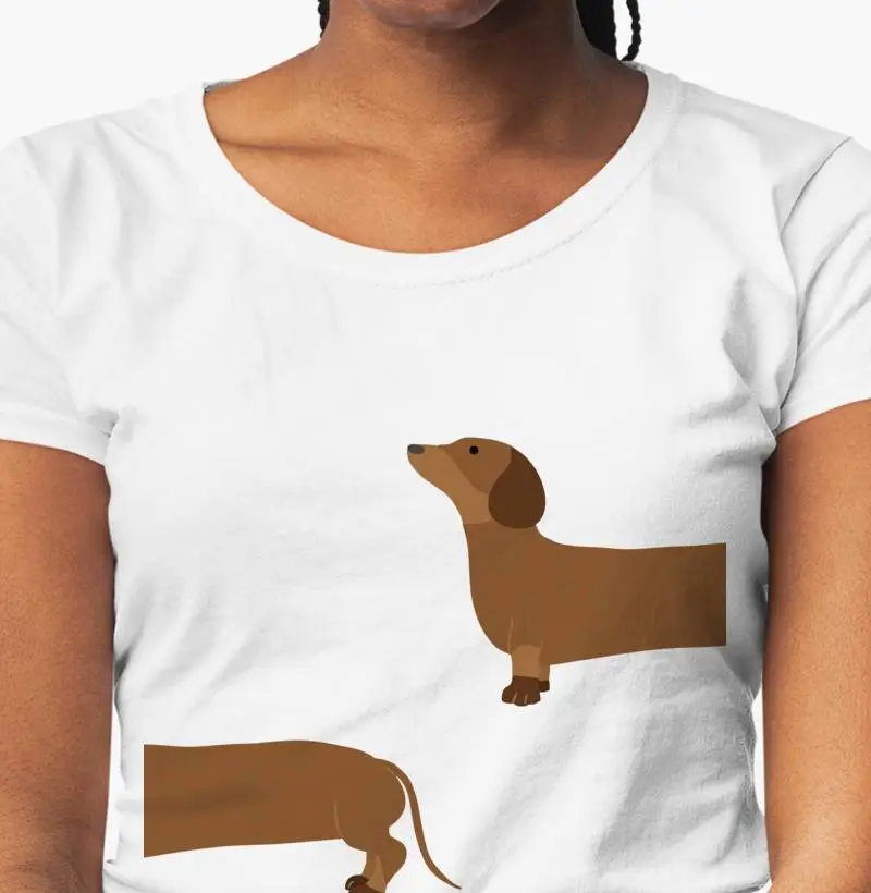 Dachshund Marrom