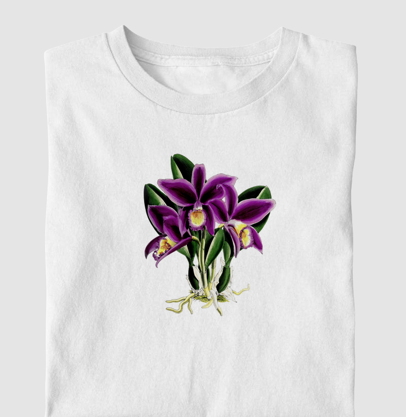 Laelia Jongheana