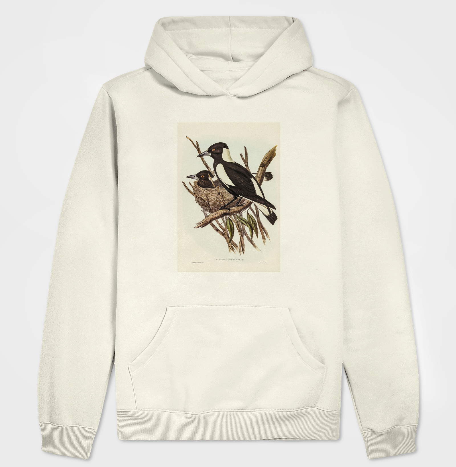 Piping Crow-Shrike