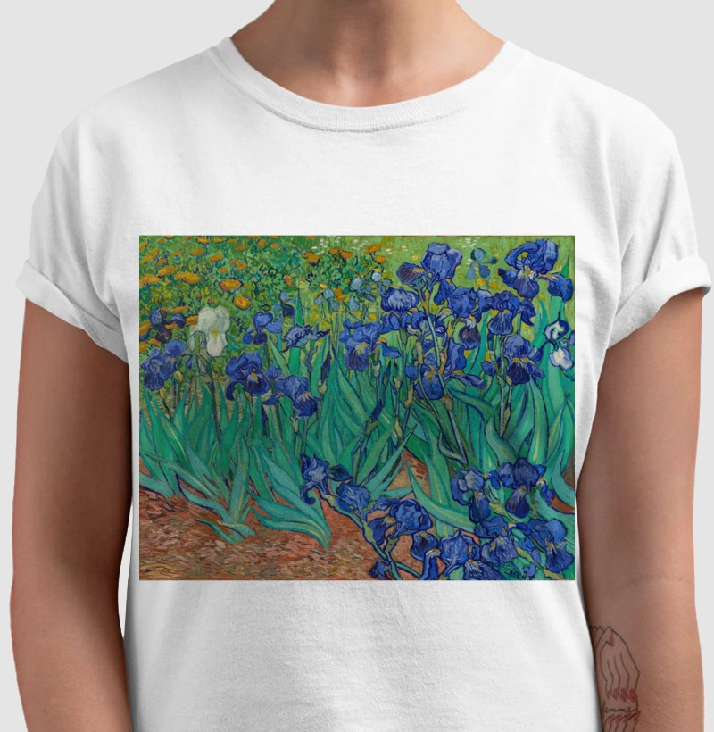 Irises (1889) - Vincent van Gogh