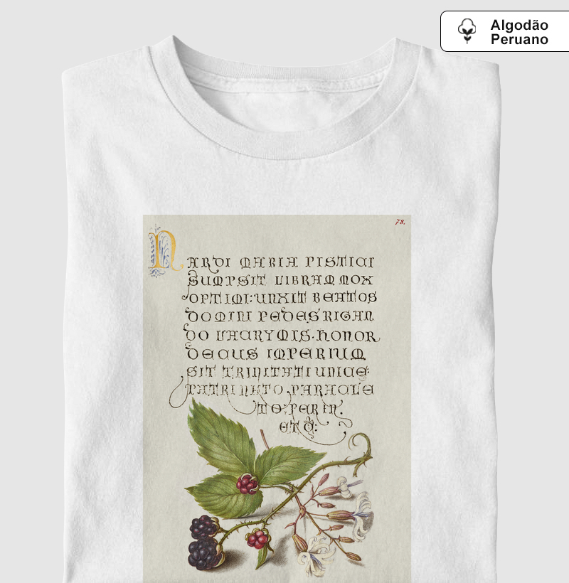 Blackberry and Nottingham Catchfly