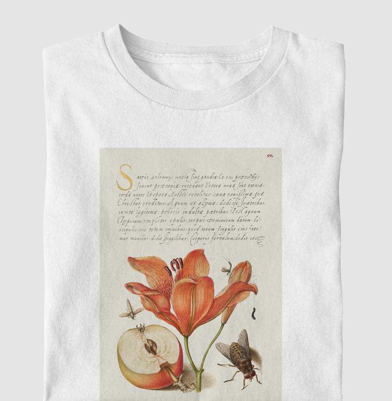 Insects, Orange Lily, Caterpillar, Apple, and Horse Fly