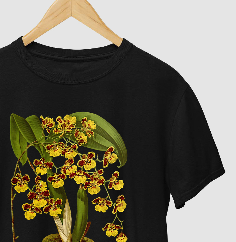 Camiseta Baptistonia sarcodes
