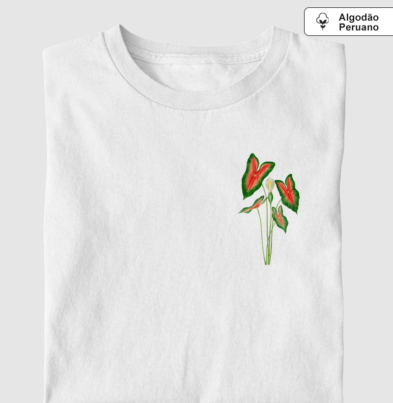 Caladium