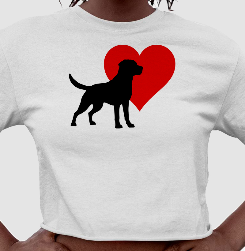 Cão I