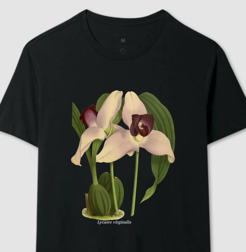 Camiseta Lycaste virginalis t-shirt