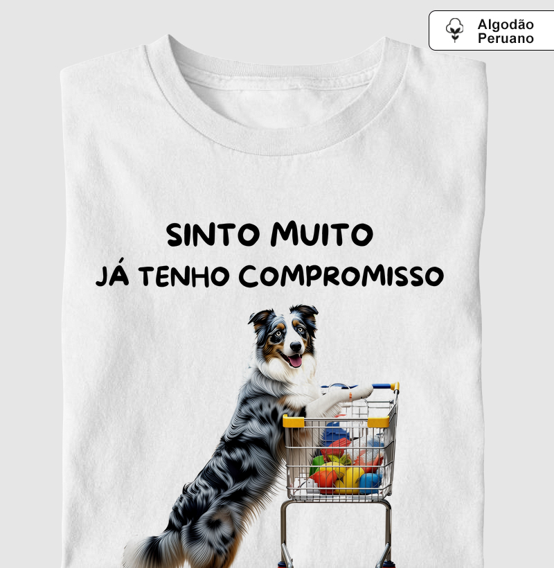 Sinto muito, já tenho compromisso