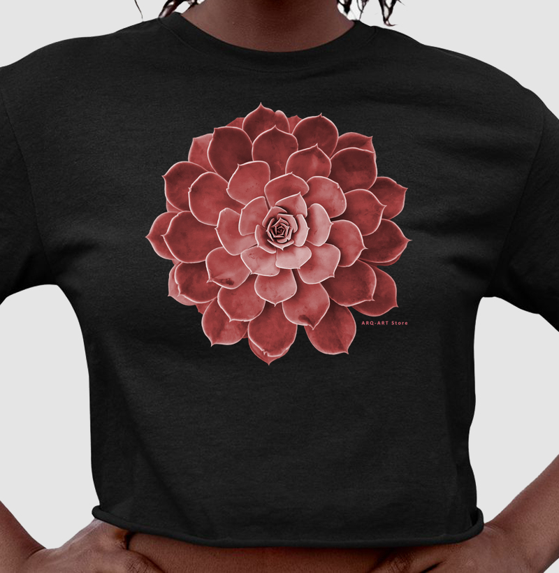 Suculenta rosa