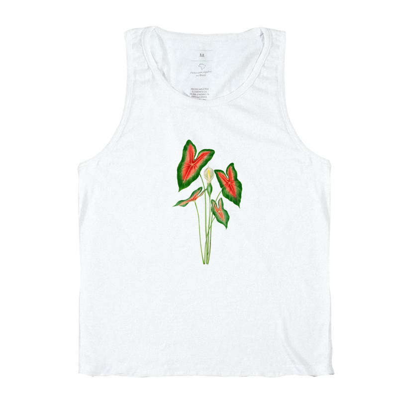 Caladium