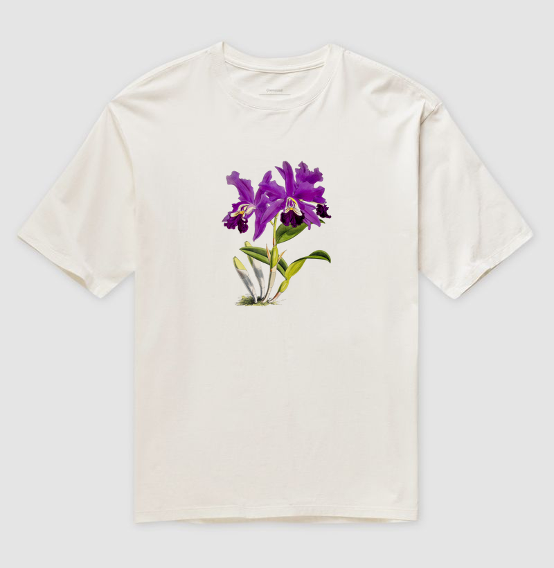 Cattleya Mardellii