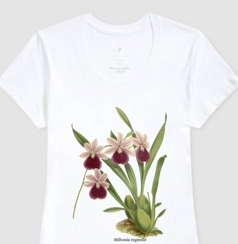 Baby Look Miltonia regnellii