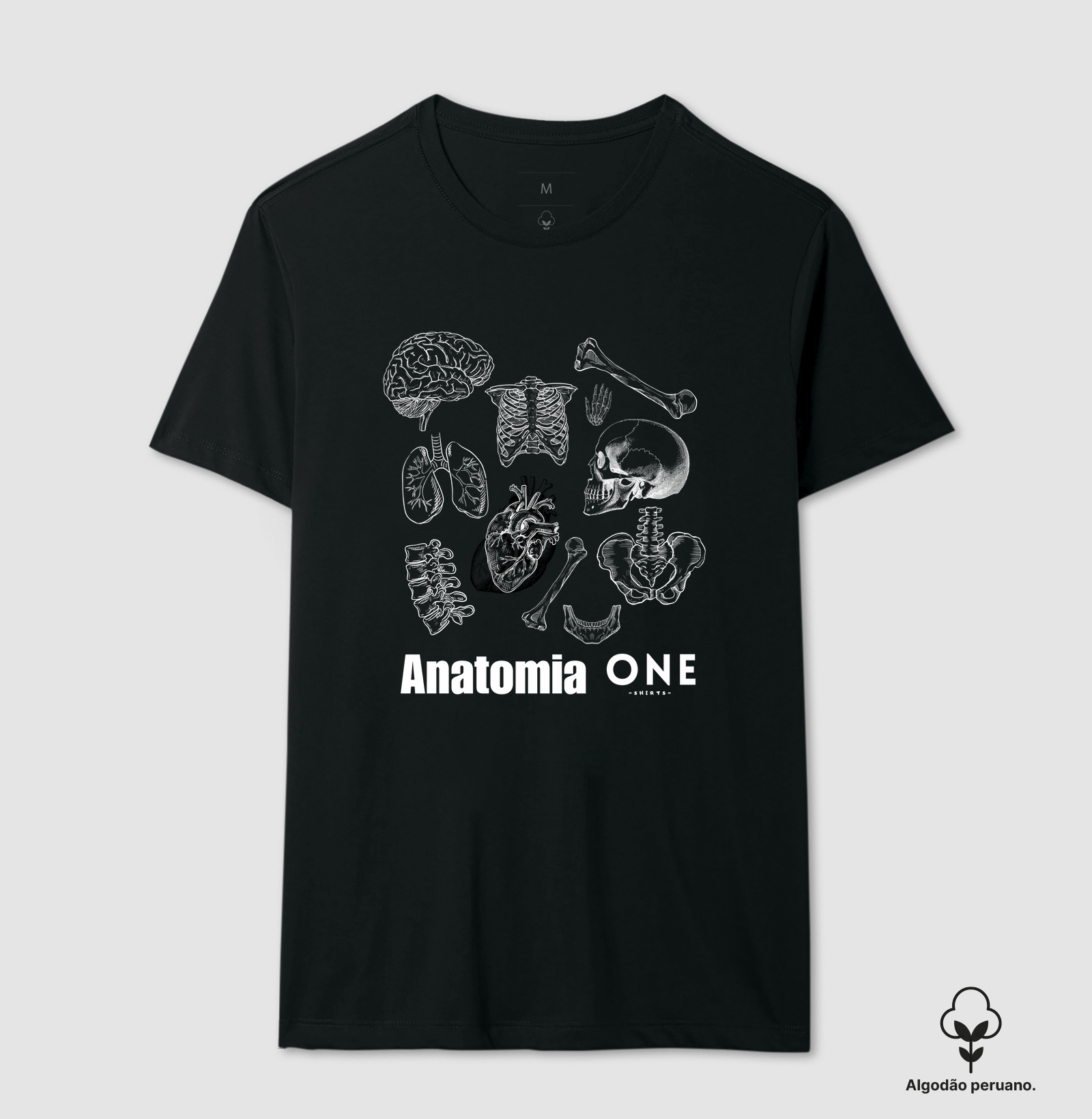 Anatomia Med