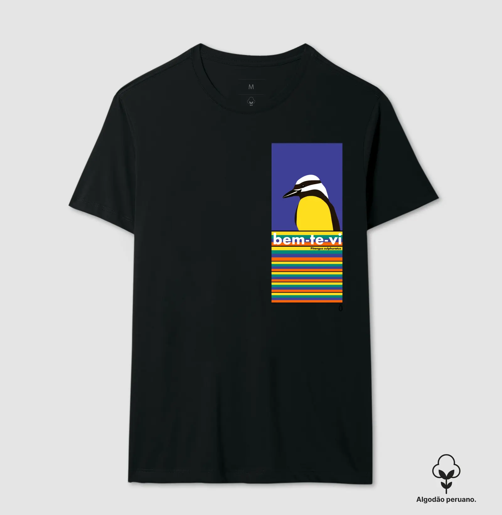 BEM-TE-VI_04