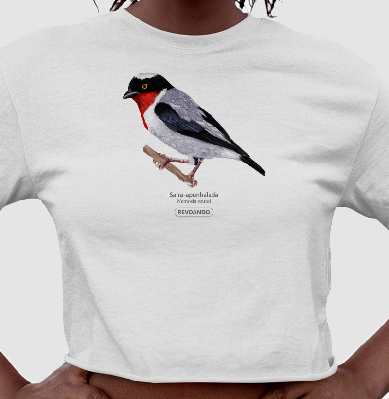 Aves do Brasil - Saíra-apunhalada - Cropped