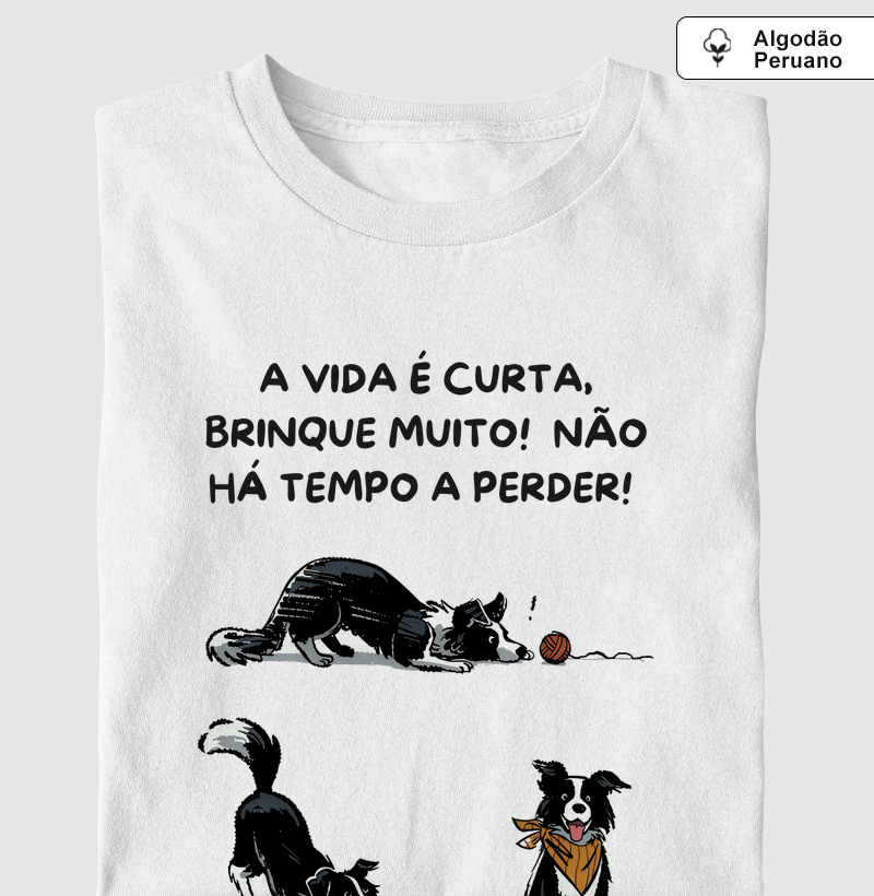 A vida é curta, brinque muito!