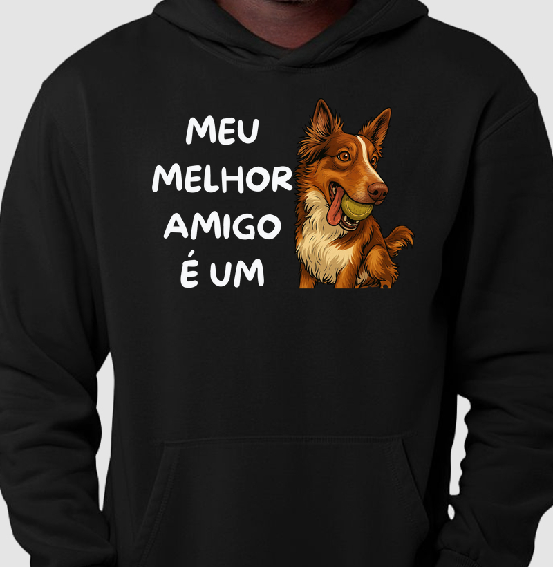Meu melhor amigo é um border collie
