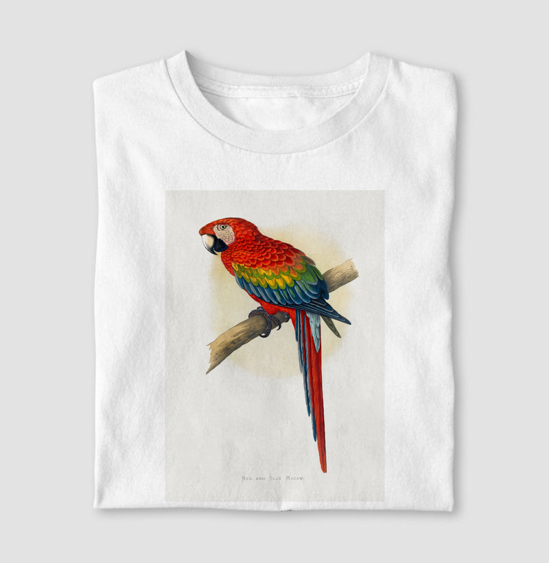 Red and Blue Macaw