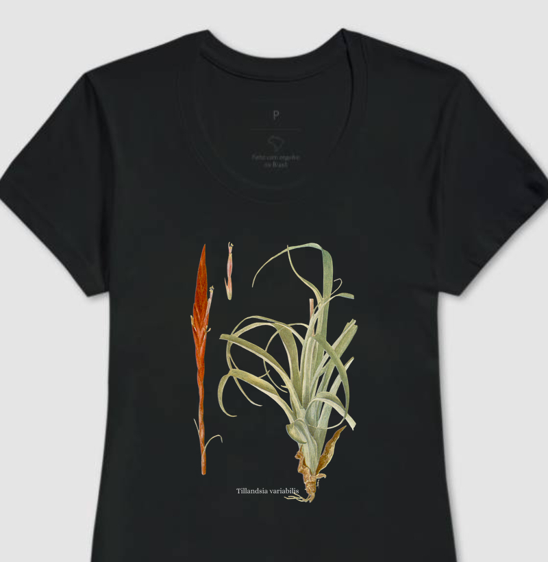 Camiseta Feminina Tillandsia variabilis