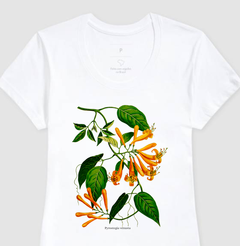 Camiseta Feminina Cipó de São João Pyrostegia venusta