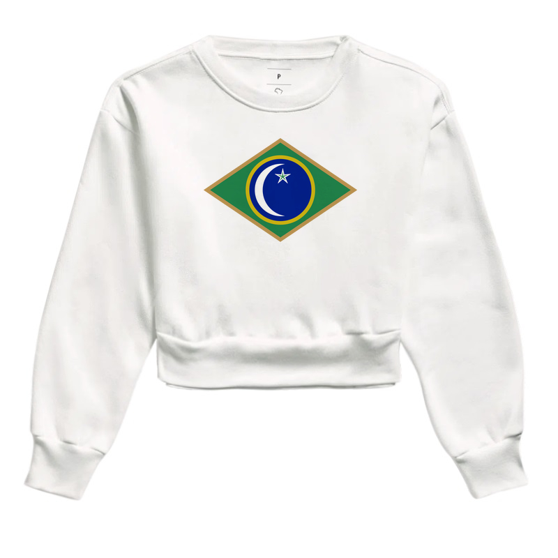 Bandeira Santa Maria 