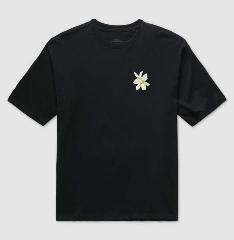 Coleção flores