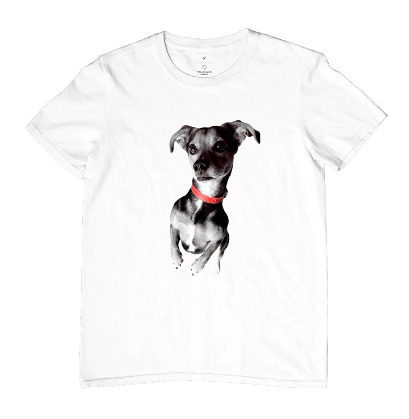 Pituco the Dog