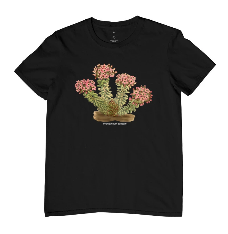 Camiseta Prometheum ( Sedum ) pilosum