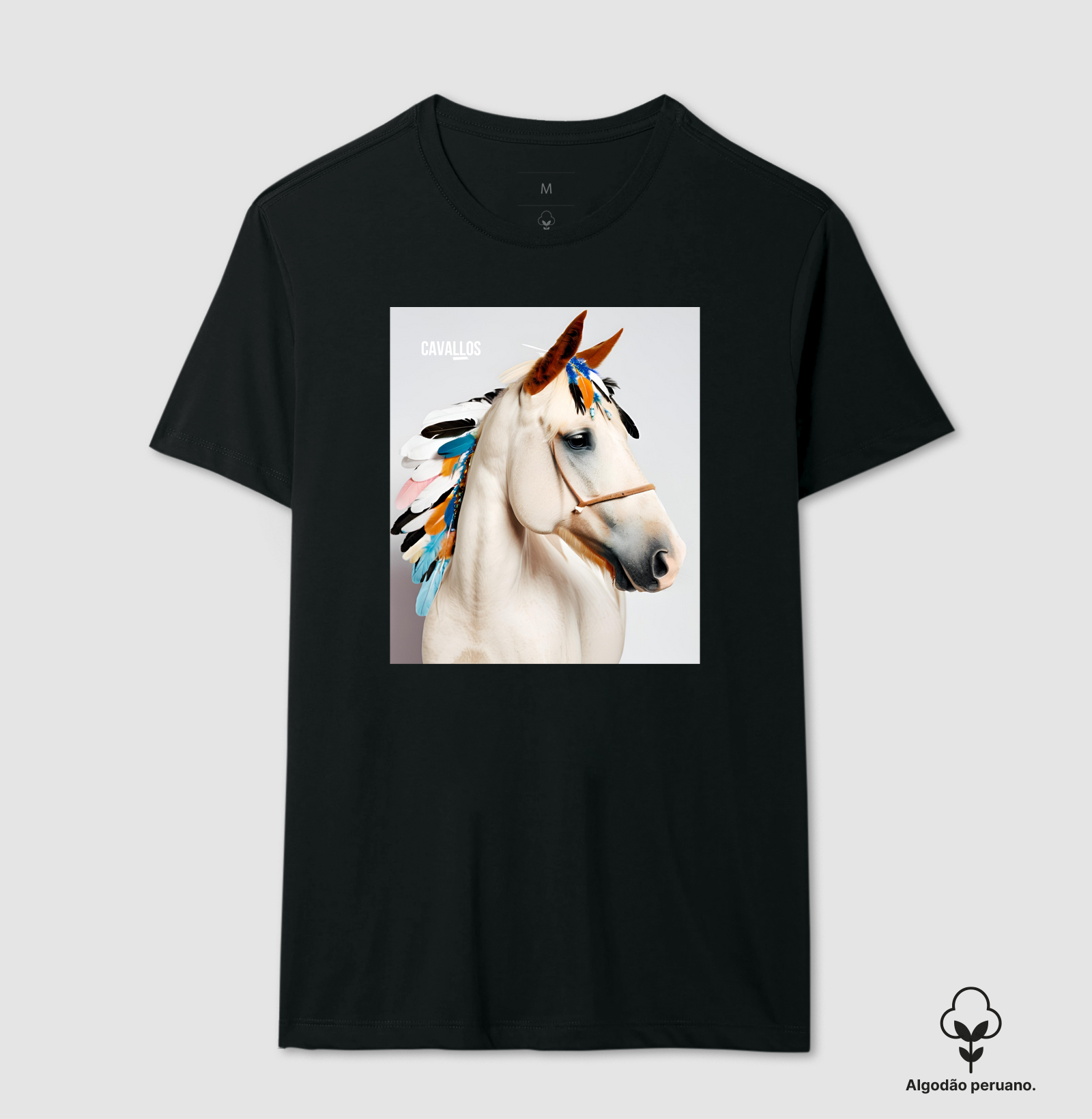 Indian Horse