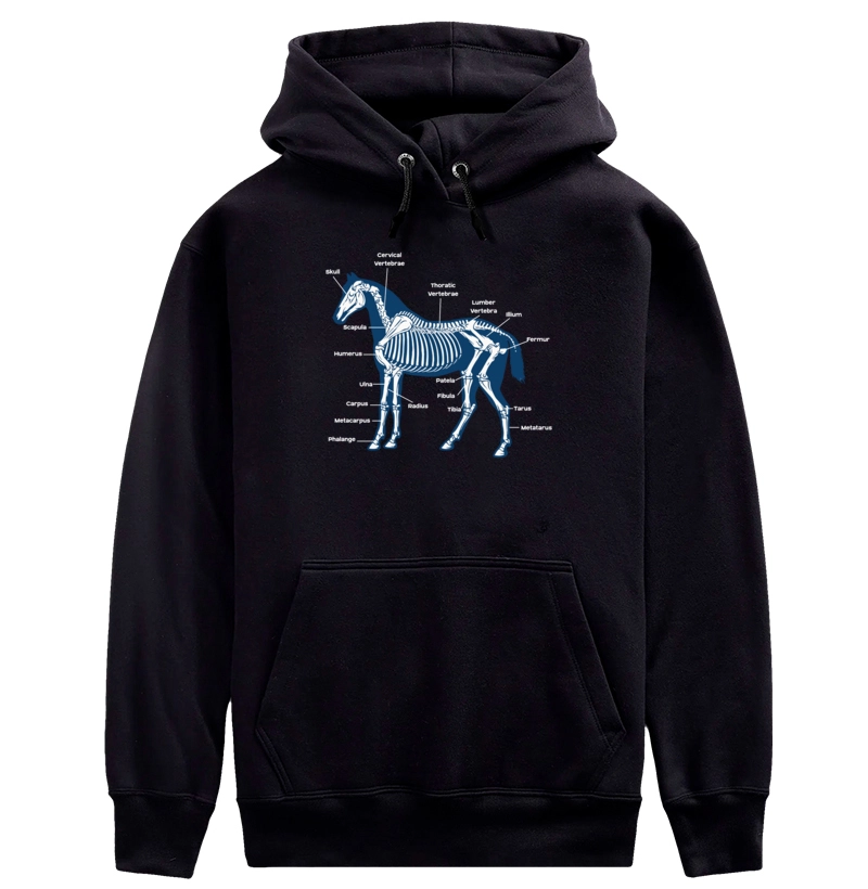 Equine Bones