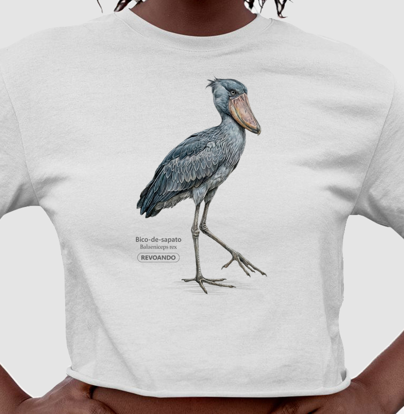 Traços Alados - Bico-de-sapato - Cropped