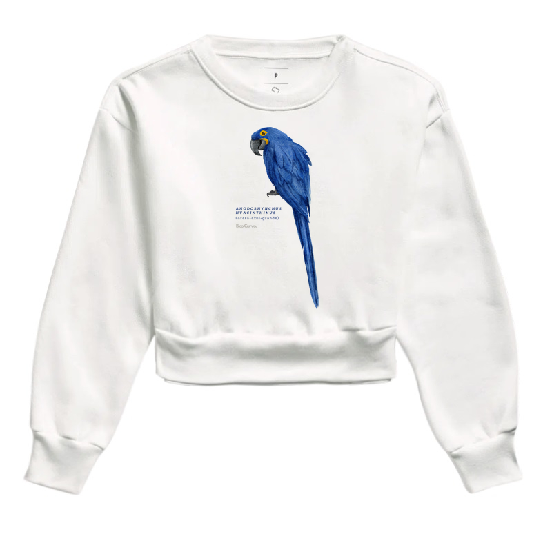 Arara Azul Cores