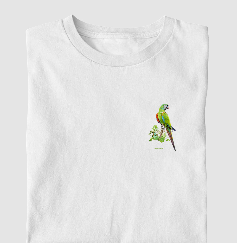 Maracanã-guaçu Galho Minimalista Cores
