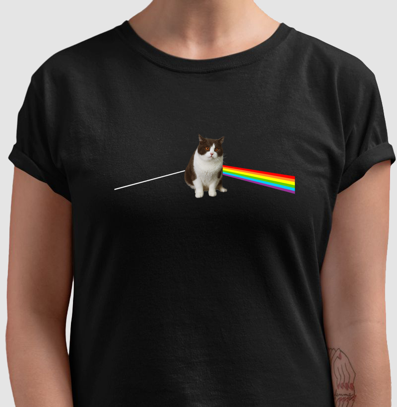CatFloyd 