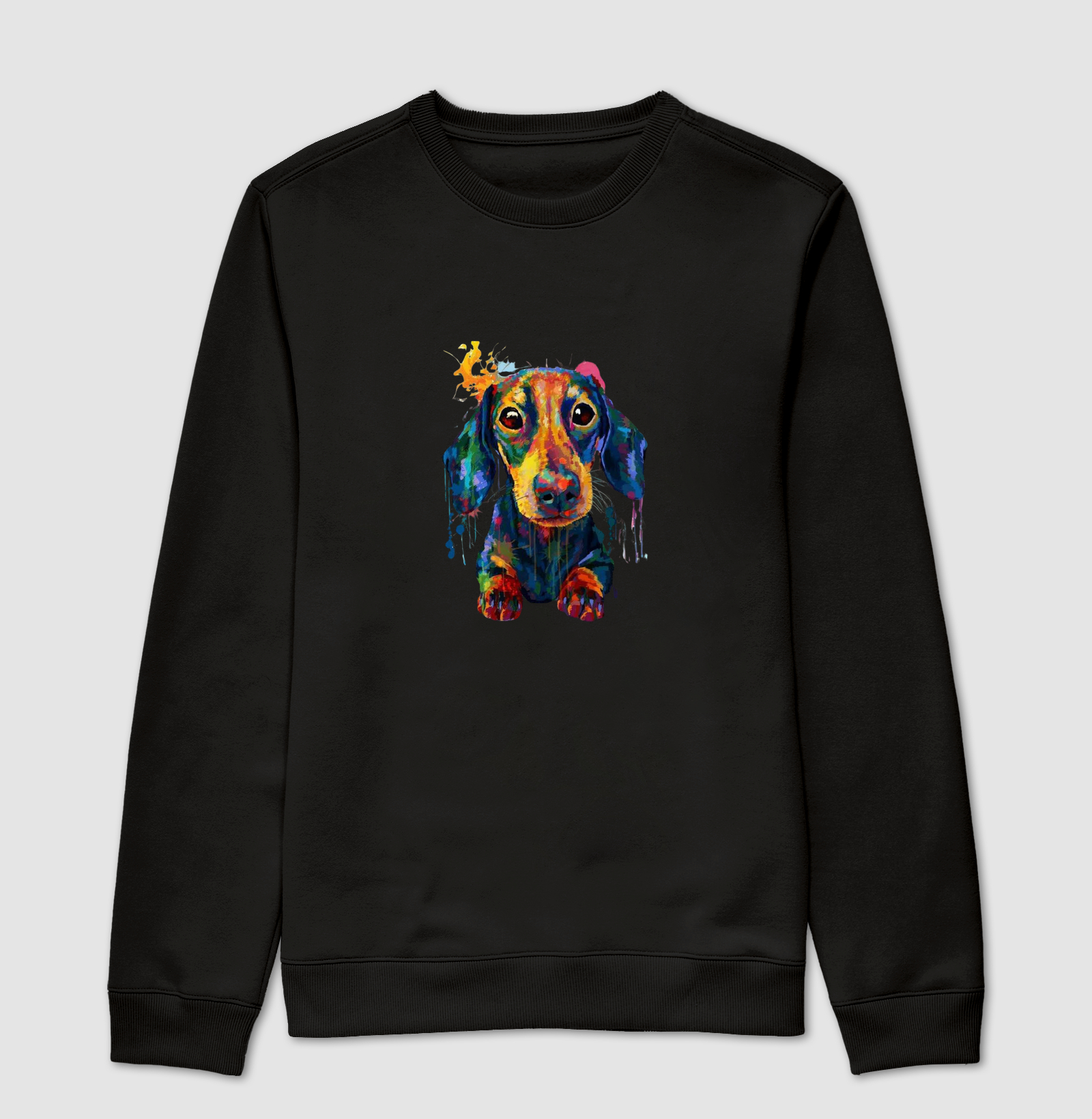 Dachshund
