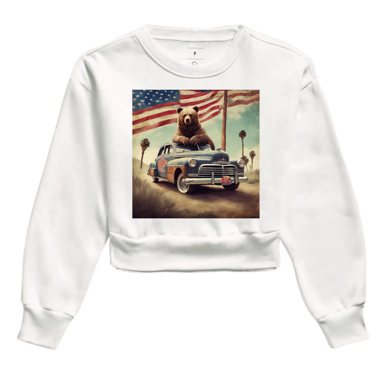Bear USA